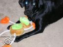 Picture_021.jpg