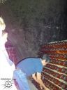 Picture_065.jpg