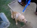 Picture_084.jpg