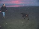 Filename=Picture_105~1.jpg
Filesize=205KiB
Dimensions=2048x1536
Date added=Feb 07, 2013 Picture_105~1.jpg