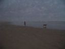 Filename=Picture_106~0.jpg
Filesize=166KiB
Dimensions=2048x1536
Date added=Feb 07, 2013 Picture_106~0.jpg
