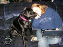 Filename=Picture_115.jpg
Filesize=60KiB
Dimensions=500x375
Date added=Jul 13, 2011 Picture_115.jpg