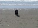 Filename=Picture_118.jpg
Filesize=395KiB
Dimensions=2048x1536
Date added=Feb 07, 2013 Picture_118.jpg
